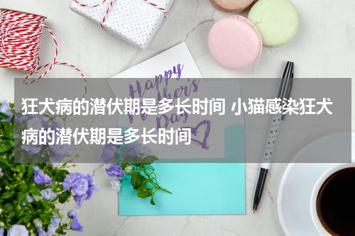 狂犬病的潜伏期是多长时间 小猫感染狂犬病的潜伏期是多长时间