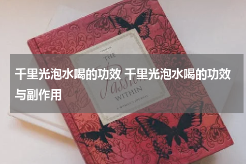 千里光泡水喝的功效 千里光泡水喝的功效与副作用