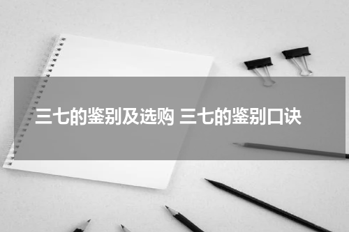 三七的鉴别及选购 三七的鉴别口诀