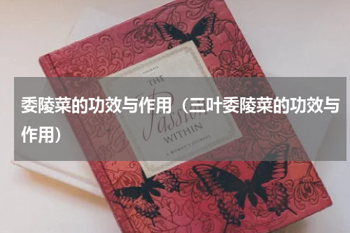 委陵菜的功效与作用（三叶委陵菜的功效与作用）