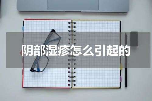 阴部湿疹怎么引起的