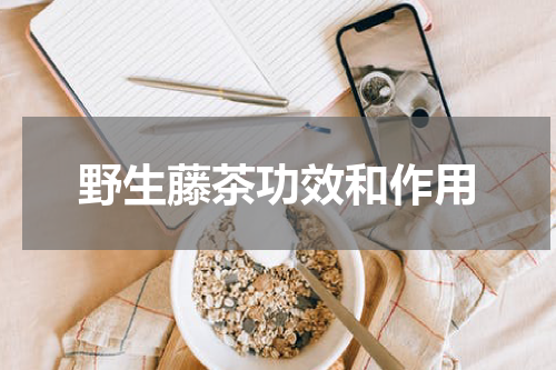 野生藤茶功效和作用