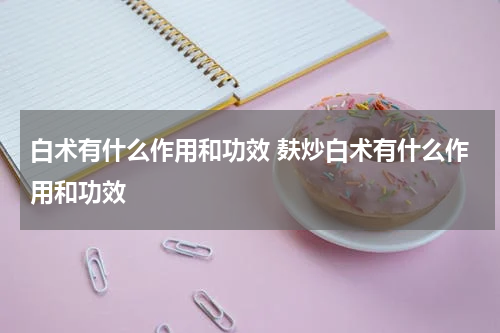 白术有什么作用和功效 麸炒白术有什么作用和功效