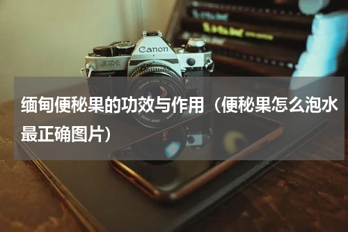 缅甸便秘果的功效与作用（便秘果怎么泡水最正确图片）