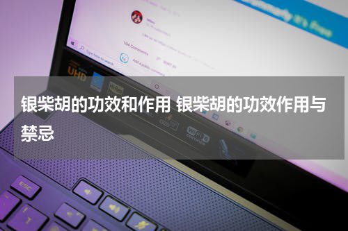 银柴胡的功效和作用 银柴胡的功效作用与禁忌
