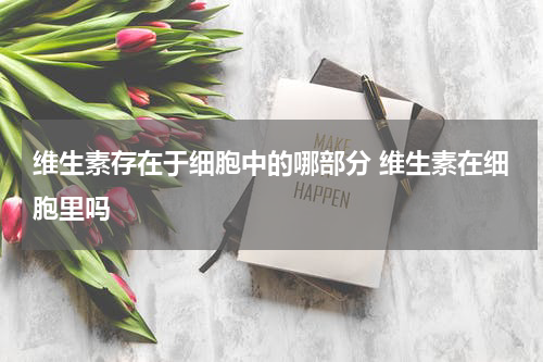 维生素存在于细胞中的哪部分 维生素在细胞里吗