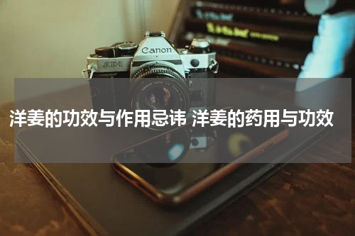 洋姜的功效与作用忌讳 洋姜的药用与功效