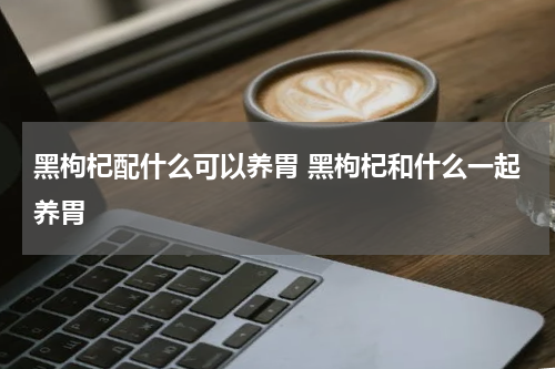 黑枸杞配什么可以养胃 黑枸杞和什么一起养胃