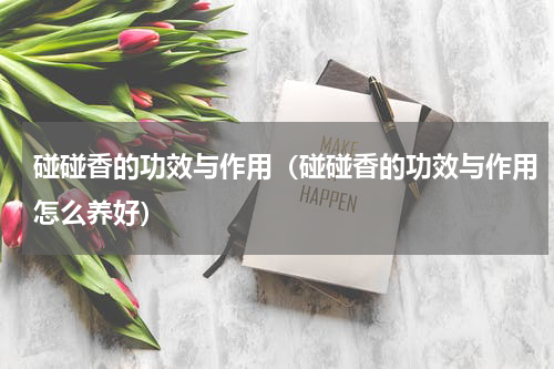 碰碰香的功效与作用（碰碰香的功效与作用怎么养好）