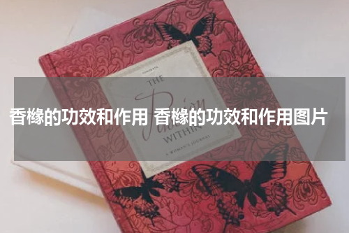 香橼的功效和作用 香橼的功效和作用图片