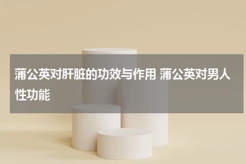 蒲公英对肝脏的功效与作用 蒲公英对男人性功能