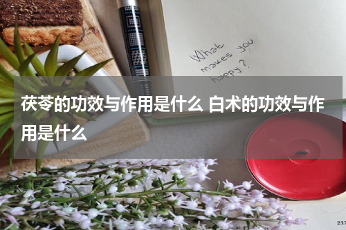 茯苓的功效与作用是什么 白术的功效与作用是什么