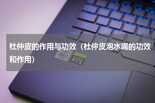杜仲皮的作用与功效（杜仲皮泡水喝的功效和作用）