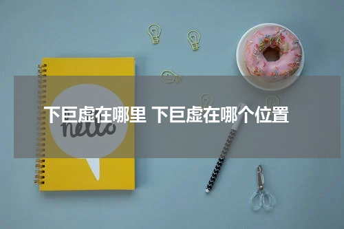 下巨虚在哪里 下巨虚在哪个位置
