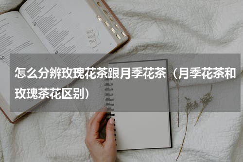 怎么分辨玫瑰花茶跟月季花茶（月季花茶和玫瑰茶花区别）