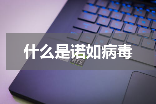 什么是诺如病毒