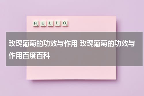 玫瑰葡萄的功效与作用 玫瑰葡萄的功效与作用百度百科