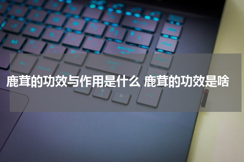 鹿茸的功效与作用是什么 鹿茸的功效是啥