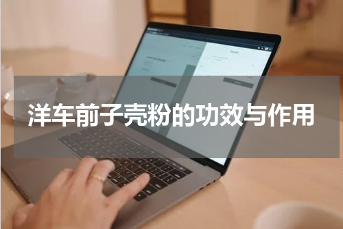 洋车前子壳粉的功效与作用