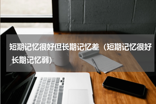 短期记忆很好但长期记忆差（短期记忆很好 长期记忆弱）