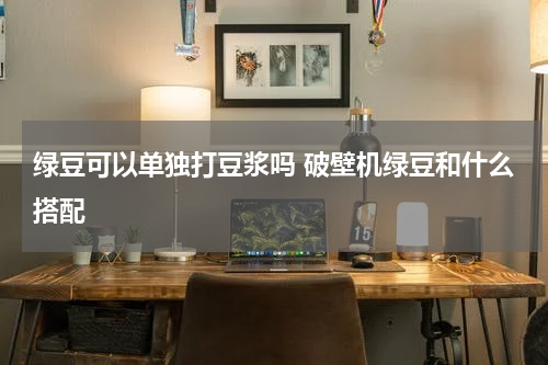 绿豆可以单独打豆浆吗 破壁机绿豆和什么搭配