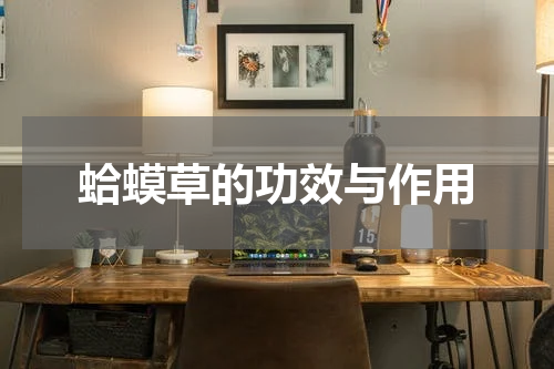 蛤蟆草的功效与作用