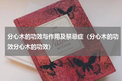 分心木的功效与作用及禁忌症（分心木的功效分心木的功效）