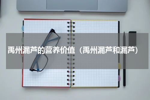 禹州漏芦的营养价值（禹州漏芦和漏芦）
