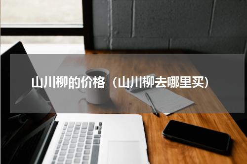 山川柳的价格（山川柳去哪里买）