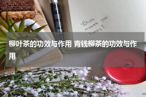 柳叶茶的功效与作用 青钱柳茶的功效与作用