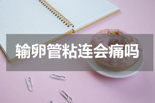 输卵管粘连会痛吗