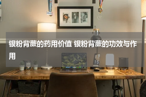 银粉背蕨的药用价值 银粉背蕨的功效与作用