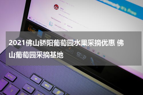 2021佛山骄阳葡萄园水果采摘优惠 佛山葡萄园采摘基地