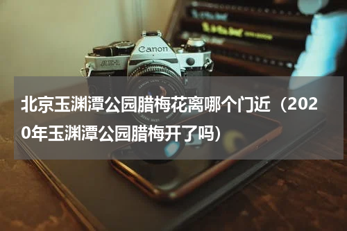 北京玉渊潭公园腊梅花离哪个门近（2020年玉渊潭公园腊梅开了吗）