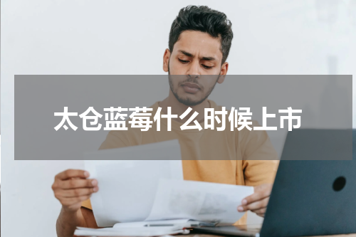 太仓蓝莓什么时候上市