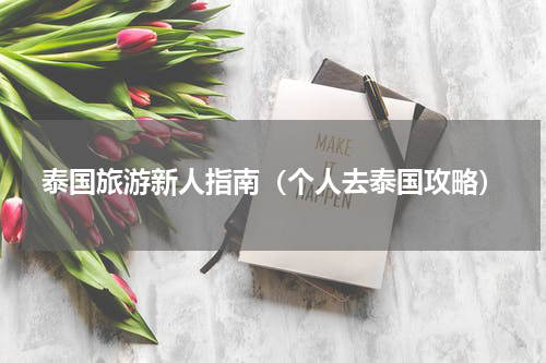 泰国旅游新人指南（个人去泰国攻略）