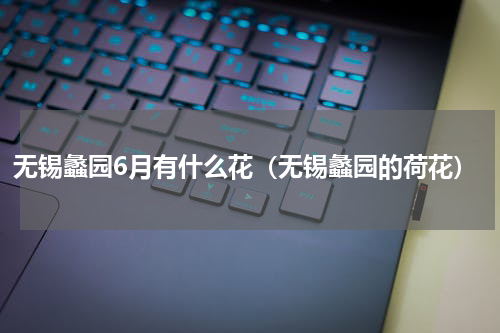 无锡蠡园6月有什么花（无锡蠡园的荷花）