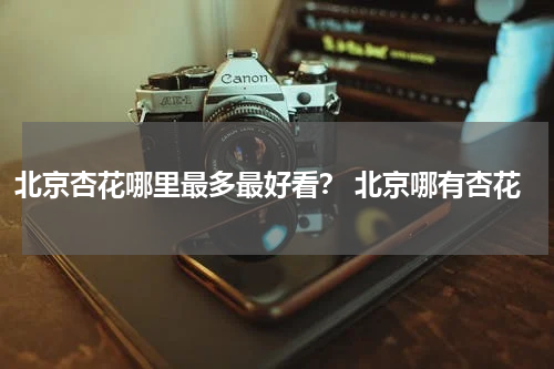 北京杏花哪里最多最好看？ 北京哪有杏花