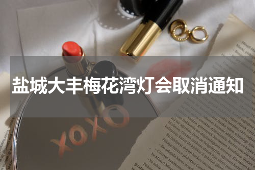 盐城大丰梅花湾灯会取消通知