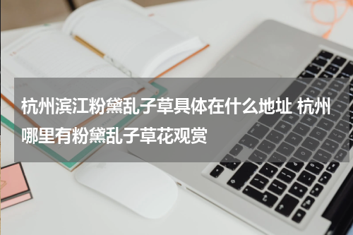 杭州滨江粉黛乱子草具体在什么地址 杭州哪里有粉黛乱子草花观赏
