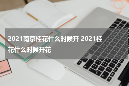 2021南京桂花什么时候开 2021桂花什么时候开花