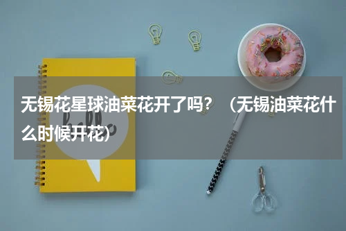 无锡花星球油菜花开了吗？（无锡油菜花什么时候开花）