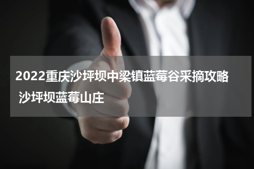 2022重庆沙坪坝中梁镇蓝莓谷采摘攻略 沙坪坝蓝莓山庄