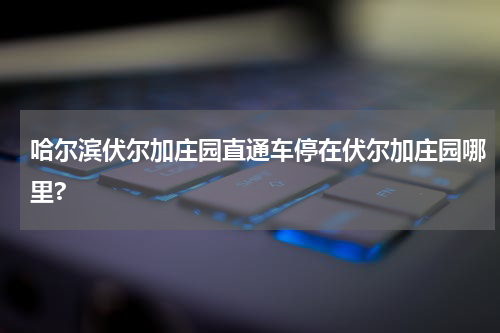 哈尔滨伏尔加庄园直通车停在伏尔加庄园哪里?