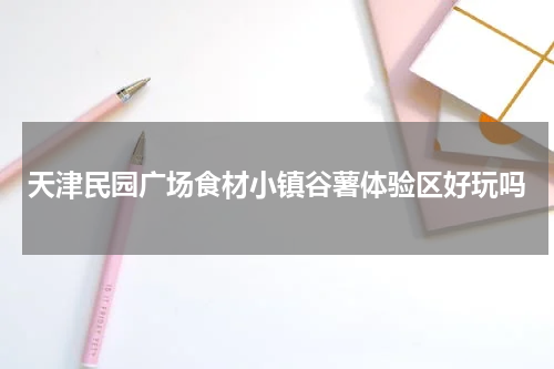 天津民园广场食材小镇谷薯体验区好玩吗