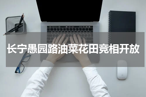 长宁愚园路油菜花田竞相开放