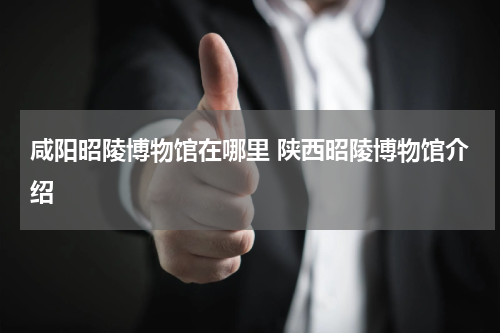 咸阳昭陵博物馆在哪里 陕西昭陵博物馆介绍