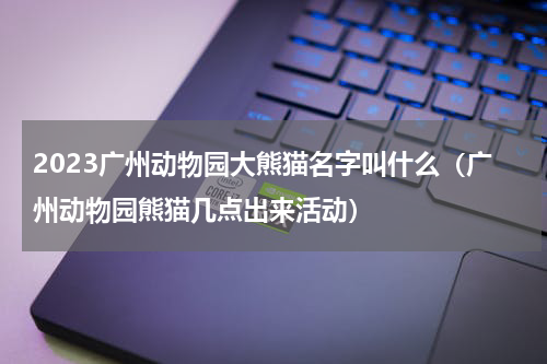 2023广州动物园大熊猫名字叫什么（广州动物园熊猫几点出来活动）