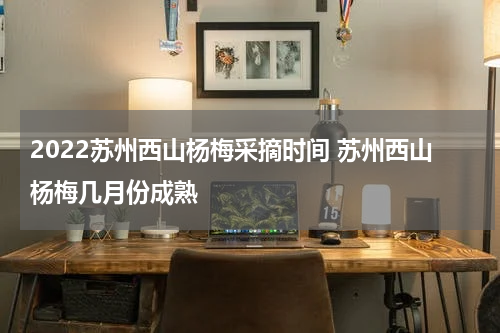 2022苏州西山杨梅采摘时间 苏州西山杨梅几月份成熟