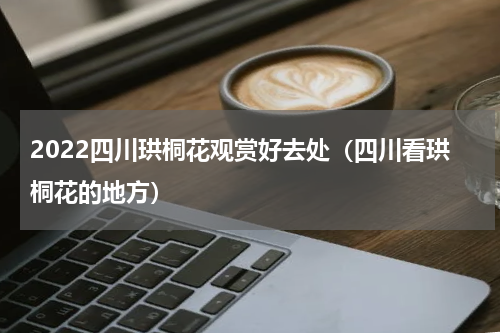 2022四川珙桐花观赏好去处（四川看珙桐花的地方）